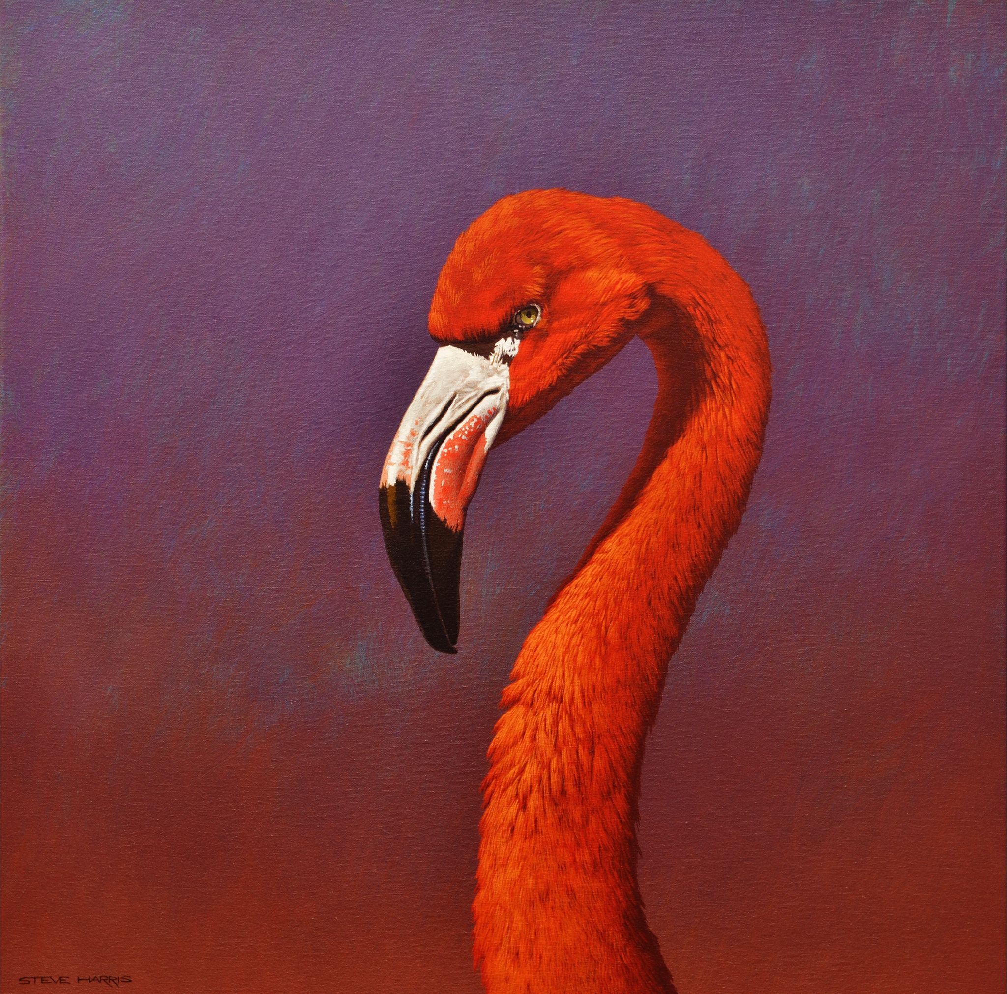 A vibrant acrylic on canvas painting of a flamingo.