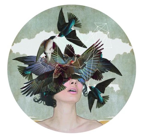 Swifts and swallows collages over a woman's face. 