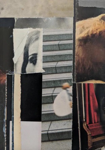 An abstract paper collage by William Packer. Images include half a woman's face, skateboards and animal fur. 