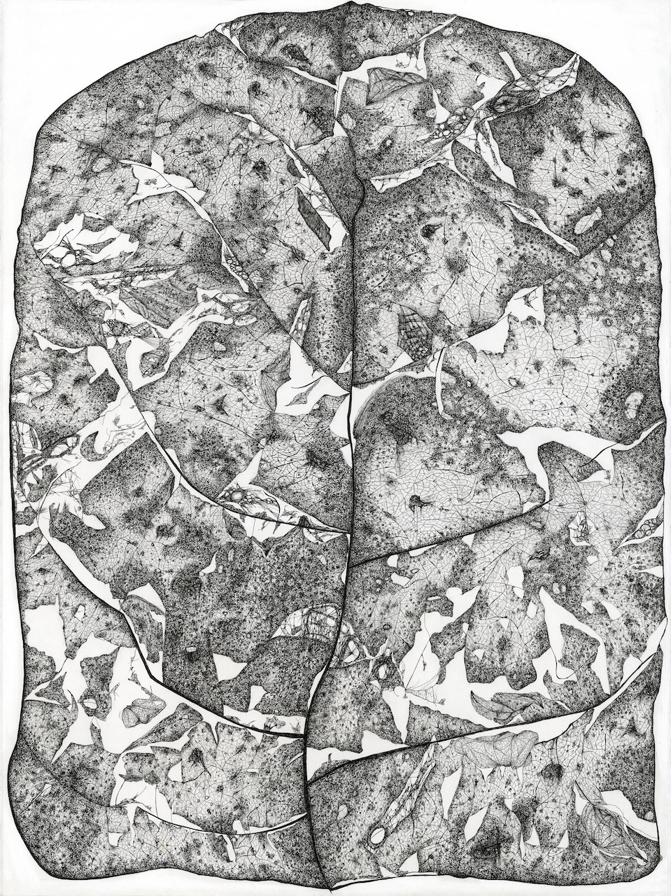 A rectangular organic shape, with leaf-like pattern in black and white
