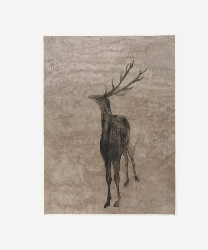 A drypoint print of a stag looking up at the sky. 