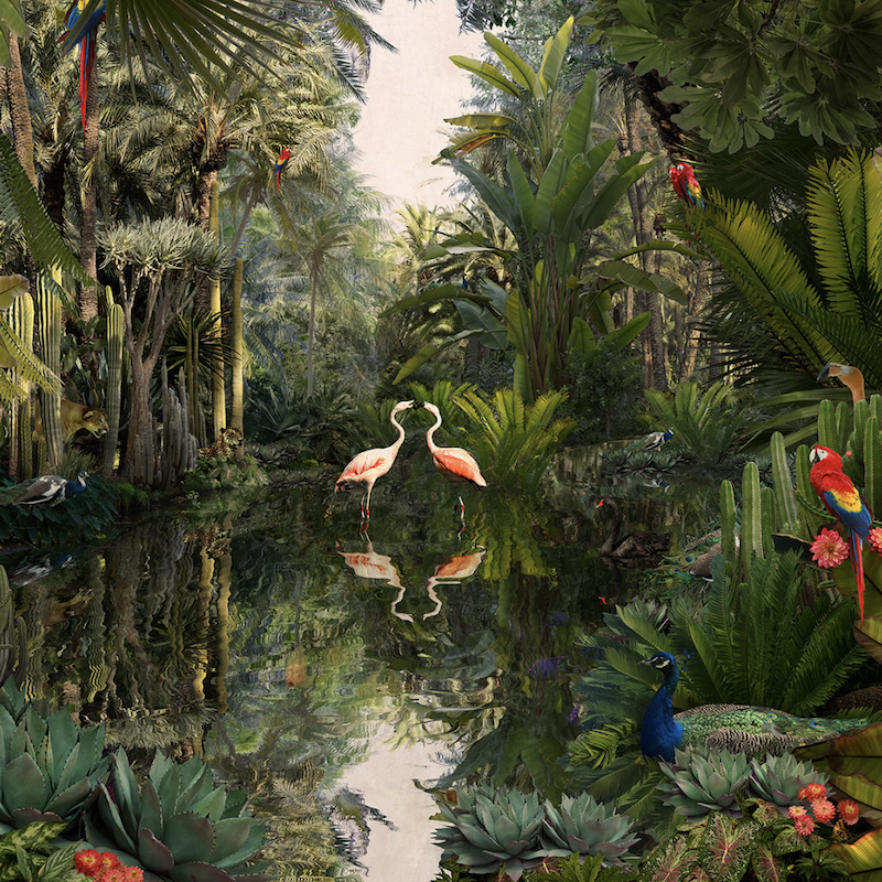 A photographic print of a jungle landscape. In the centre, two flamingos face each other. Palm fronds line each side of a tranquil river. A red, blue and yellow parrot perches on a branch in the foreground, where a peacock drinks from the river. 